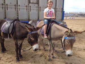Maisie - a Weston donkey weston9