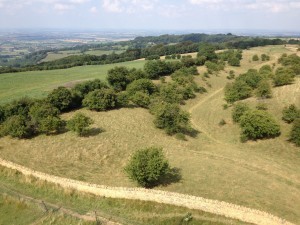 From the top of Broadway Tower