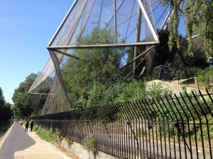 Snowdon aviary at London Zoo