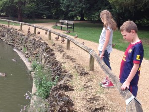 Oxford University Park - hopeful ducks