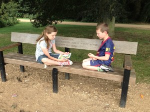 Solving the clues