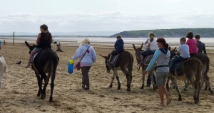 Donkey rides on Weston beach