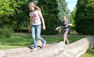 Log balancing at Harcourt
