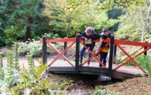 Pooh sticks at Batsford Arboretum
