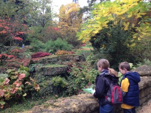 Autumn colours at Batsford Arboretum