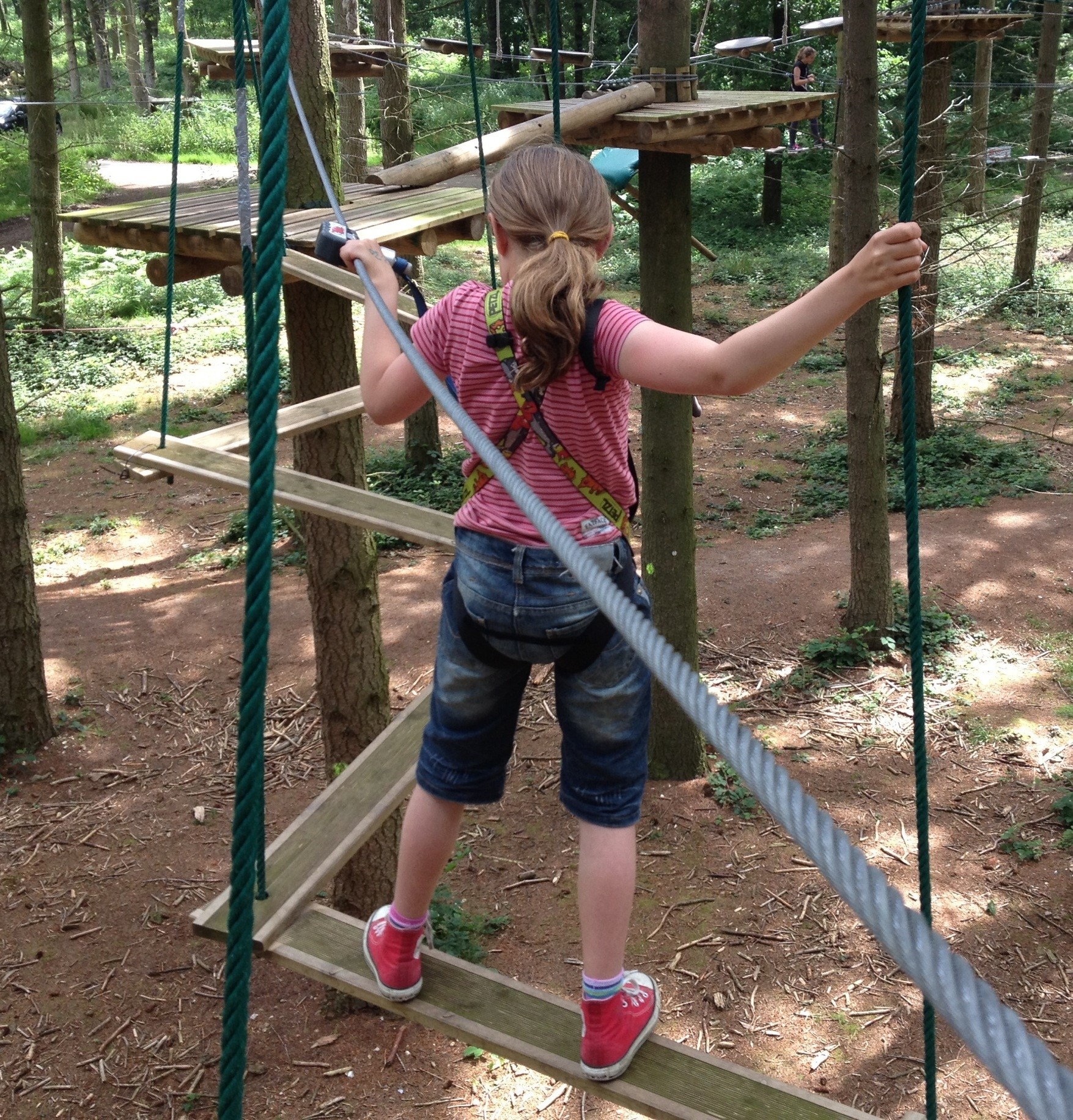 High wire adventures at TreeRunners, Andover - A family day out