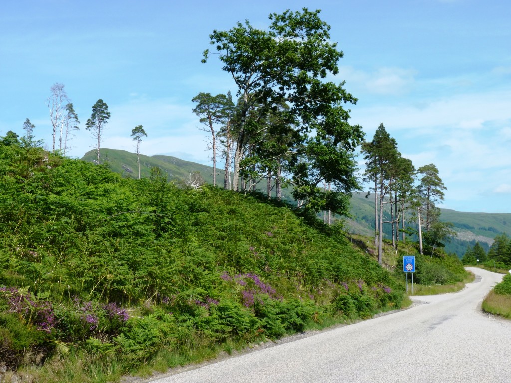 A890 towards Achnasheen