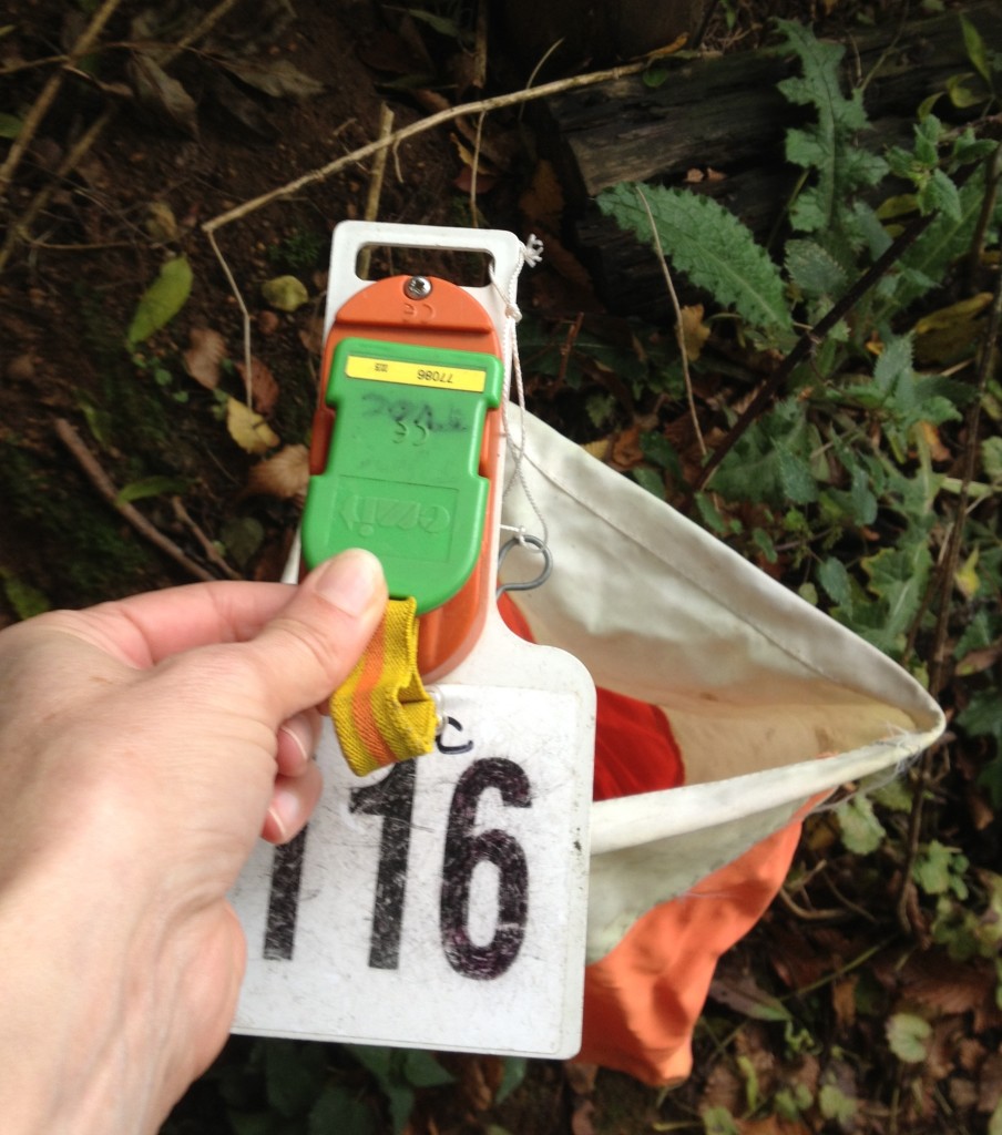 Orienteering for families - A family day out