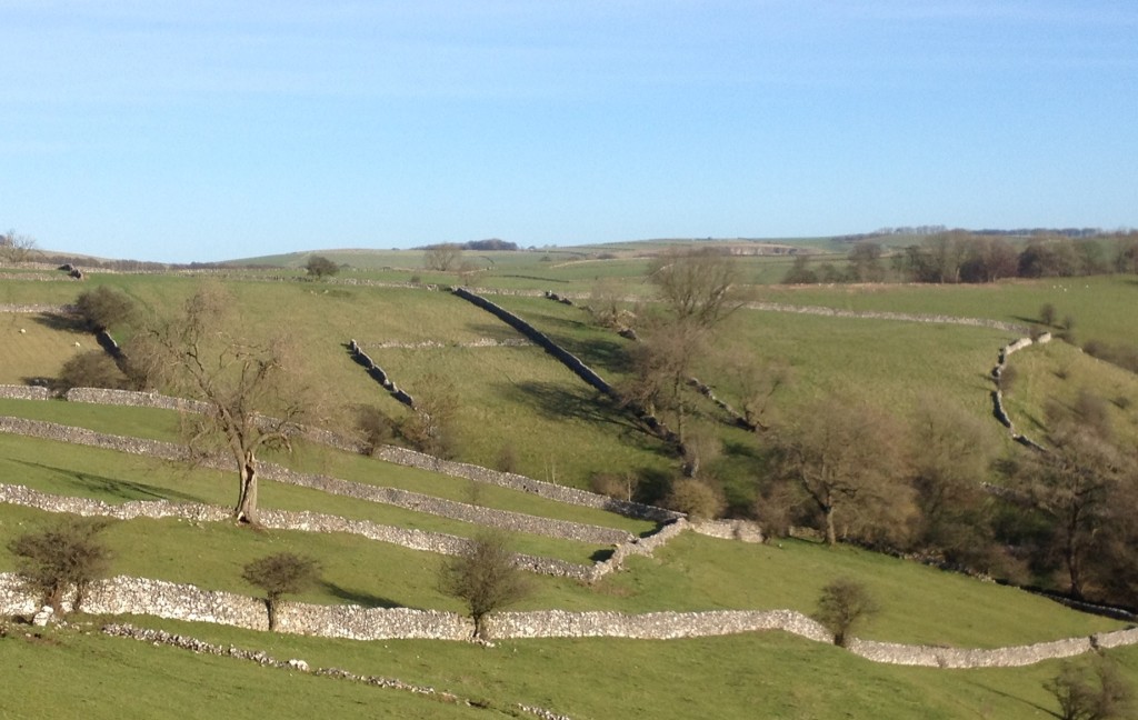 Limestone walls near Milldale