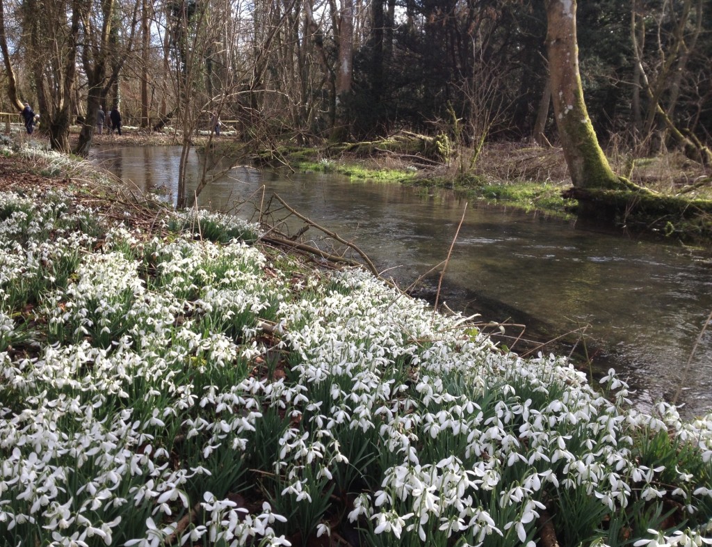 River Lambourn at Welford Park