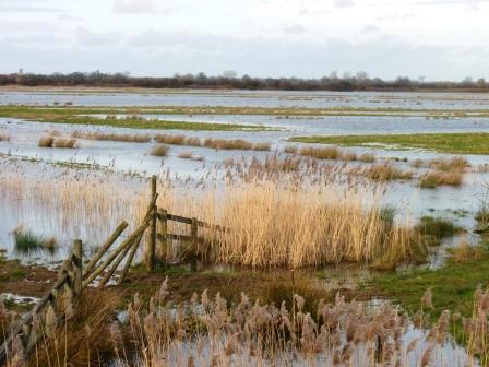 otmoor5