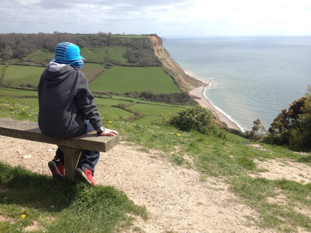 View from Salcombe Hill