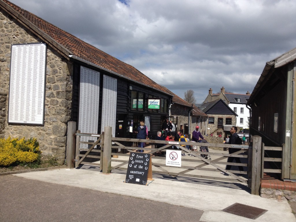 Sidmouth donkey sanctuary