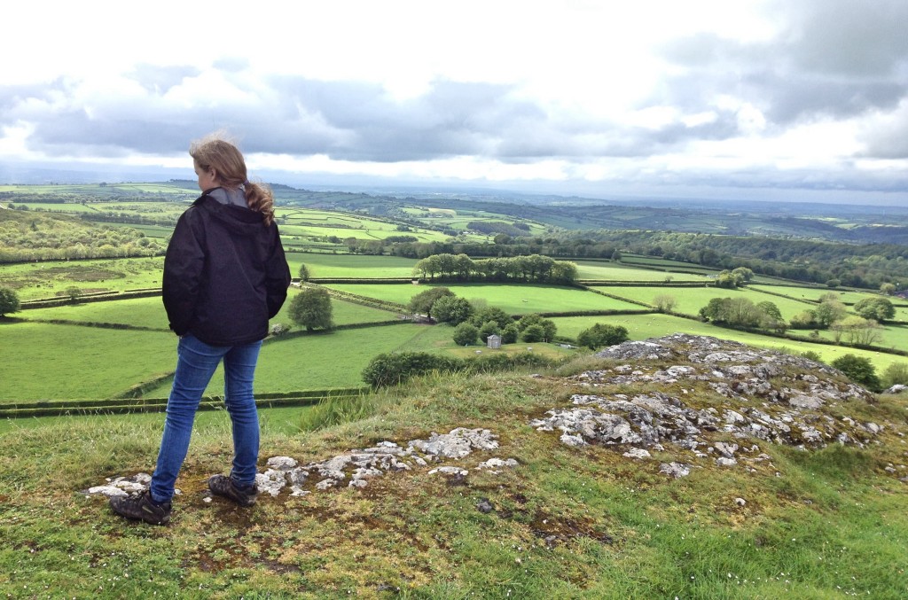 View from Brent Tor, Dartmoor