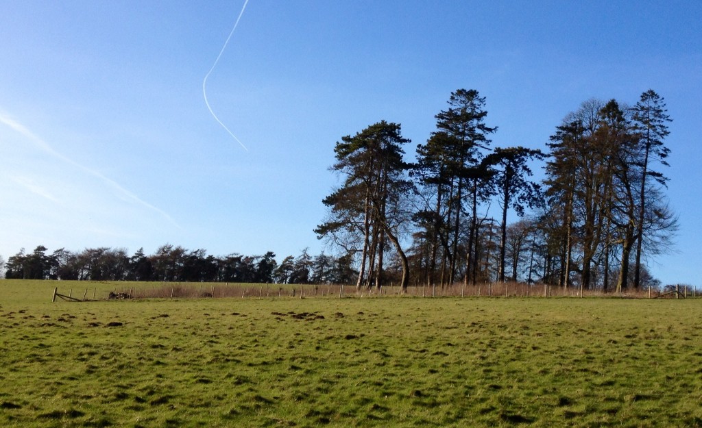 View from Swyncombe