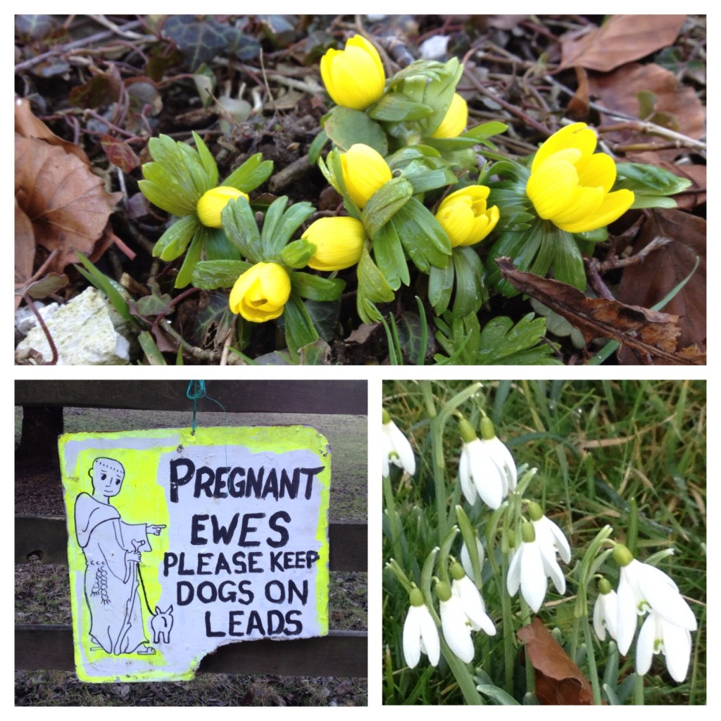 Signs of spring at Swyncombe