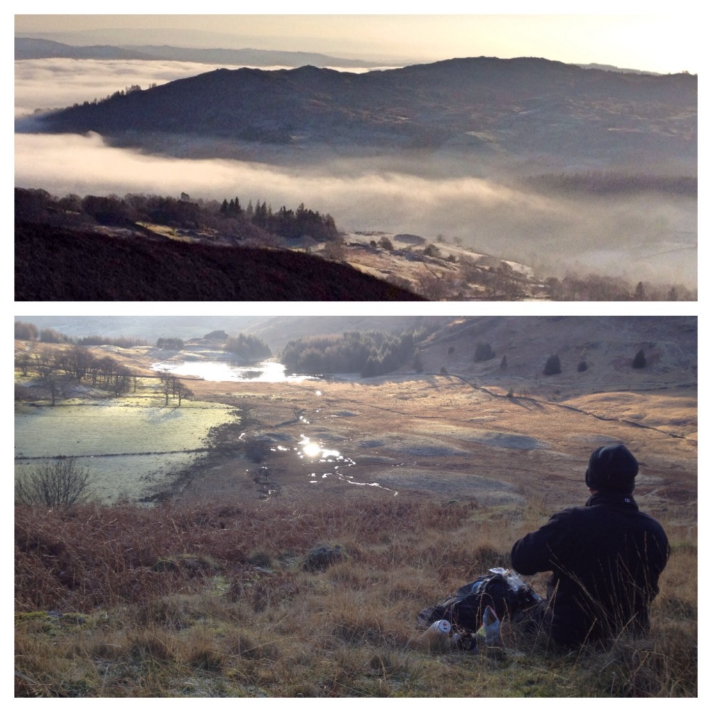 Views from Lingmoor Fell