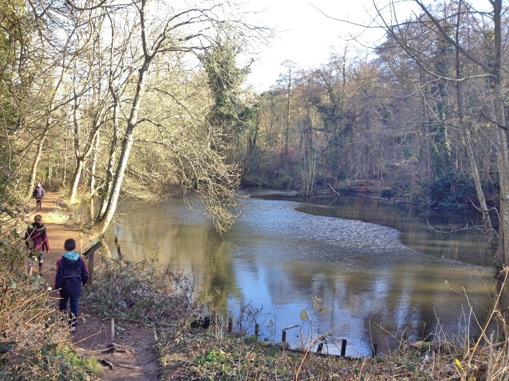 CS Lewis Nature Reserve, Oxford