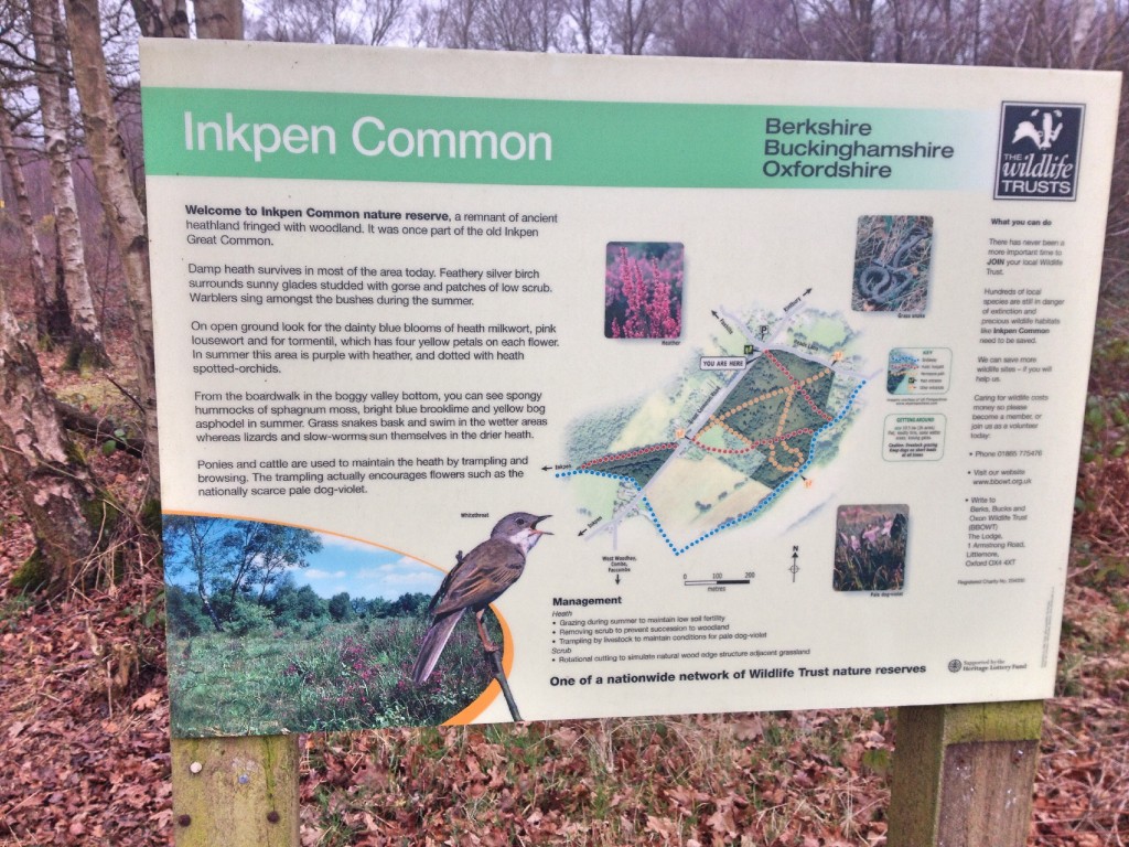 Inkpen Common nature reserve