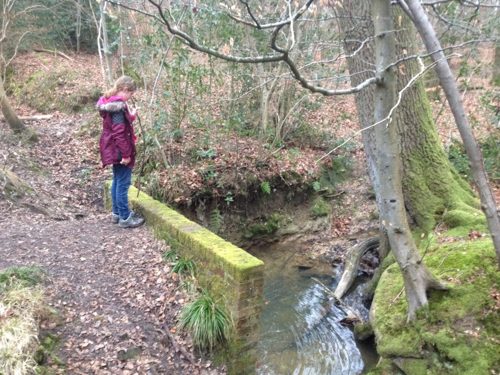 Pooh sticks in the wood