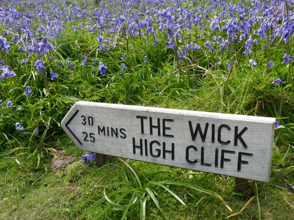 Skomer signpost