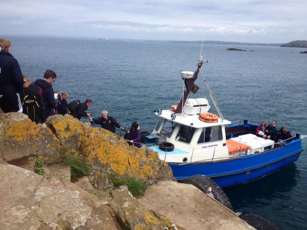 Boarding the Dale Princess, Skomer