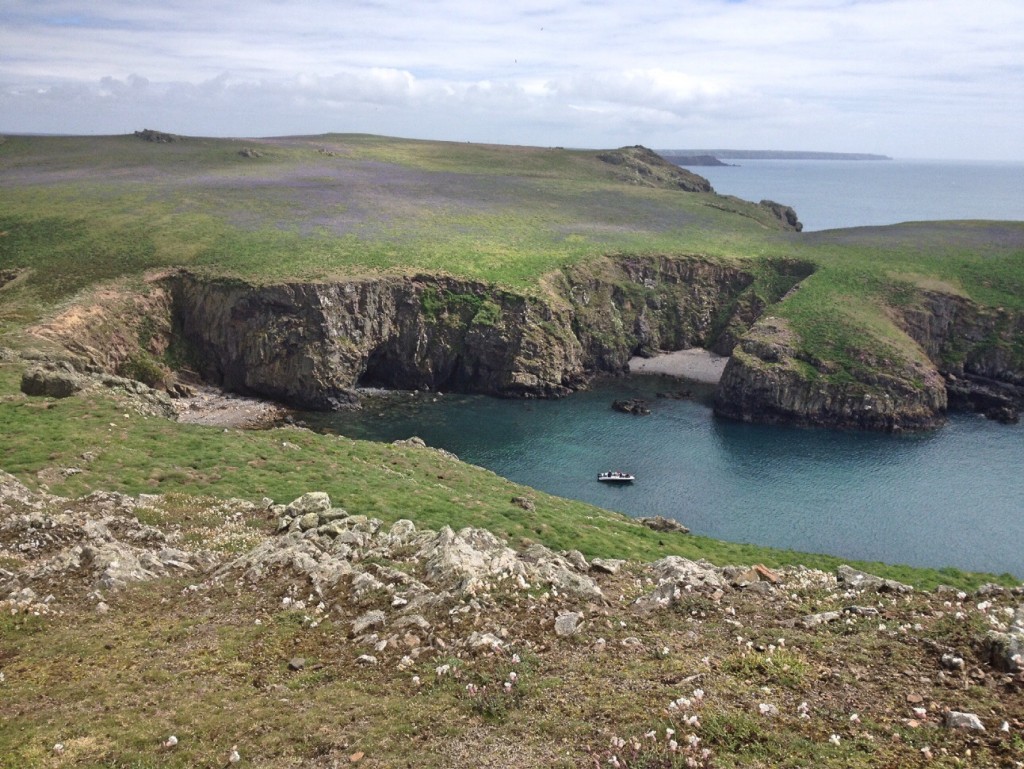 View over to The Neck, Skomer