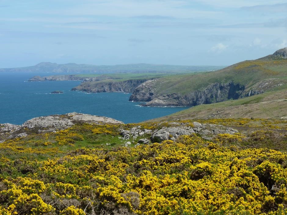 Things To Do In And Around St Davids, Pembrokeshire