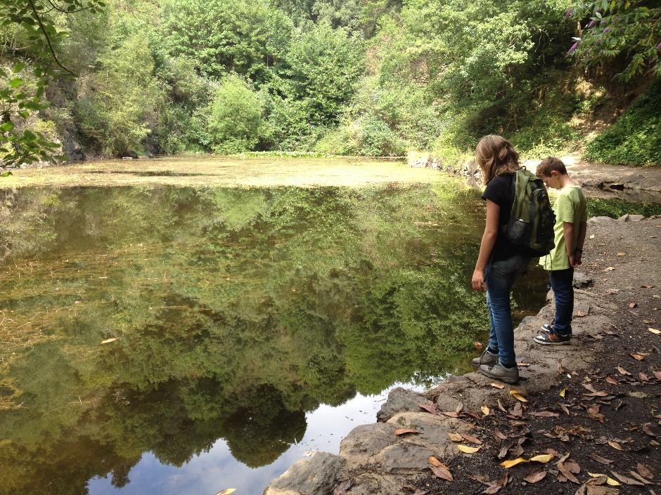 Earnslow Pool, Malvern Hills