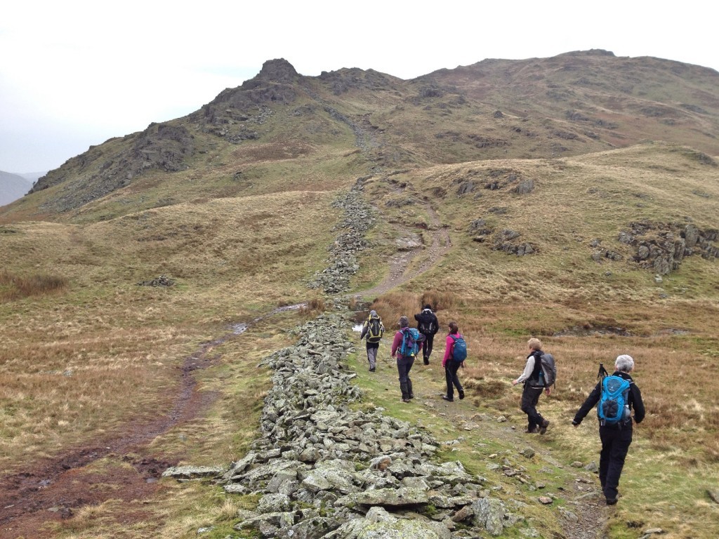 Fairfield Horseshoe