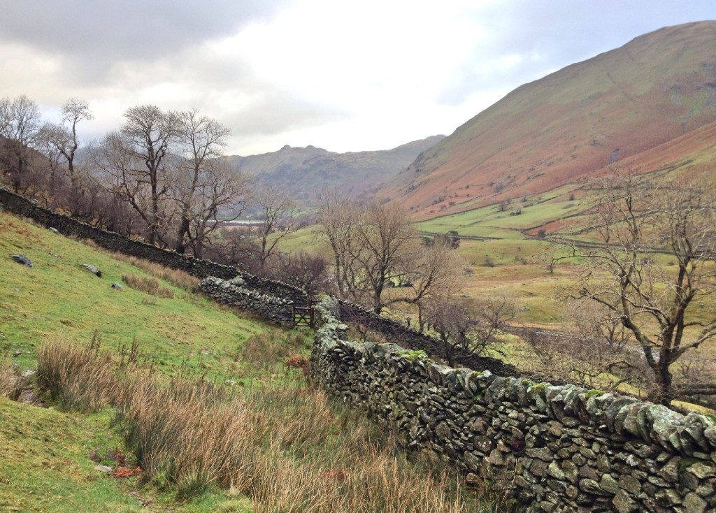 Start of our route up Red Screes