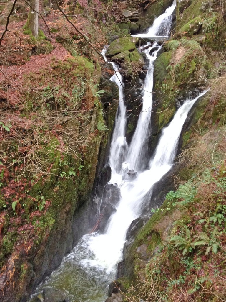 Stock Ghyll Force, near Ambleside