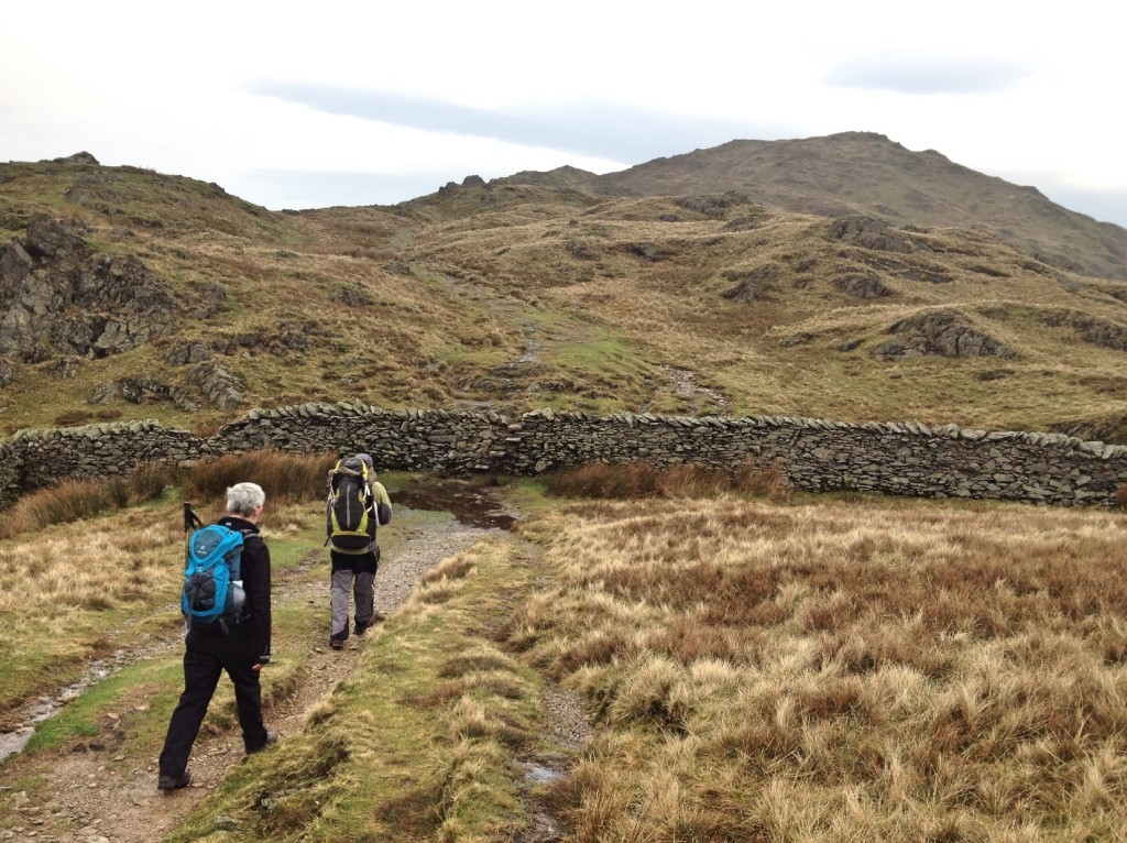 Fairfield horseshoe