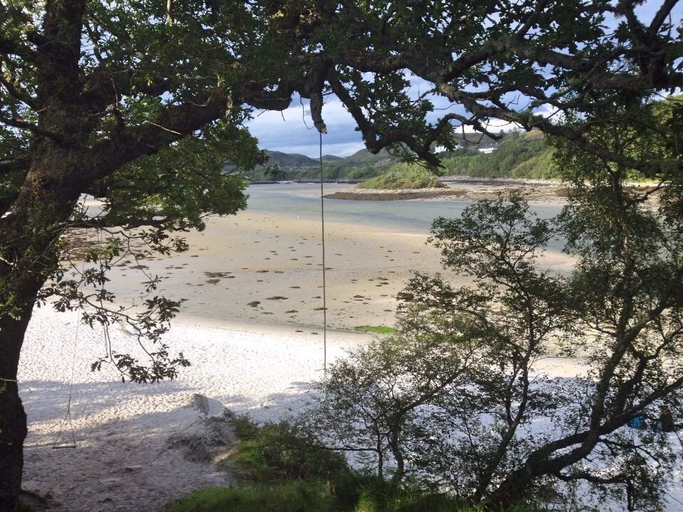 A tree swing with a view!