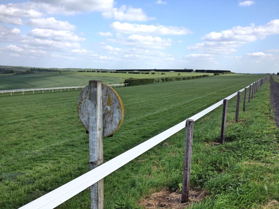 The gallops, Lambourn