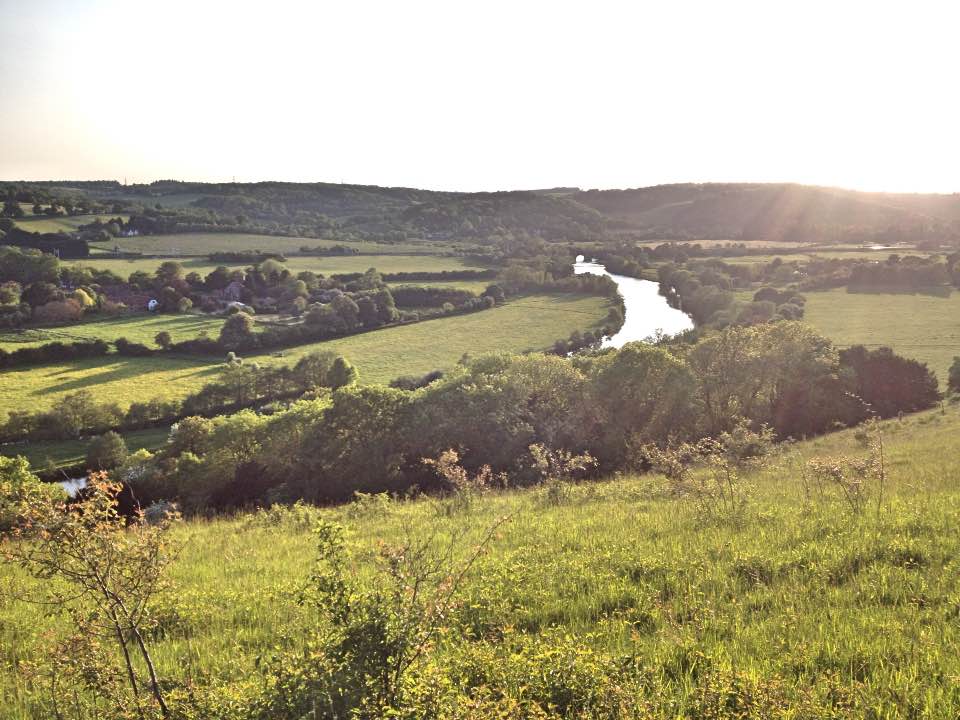 Summer evening view over the Thames, Hartslock Nature Reserve