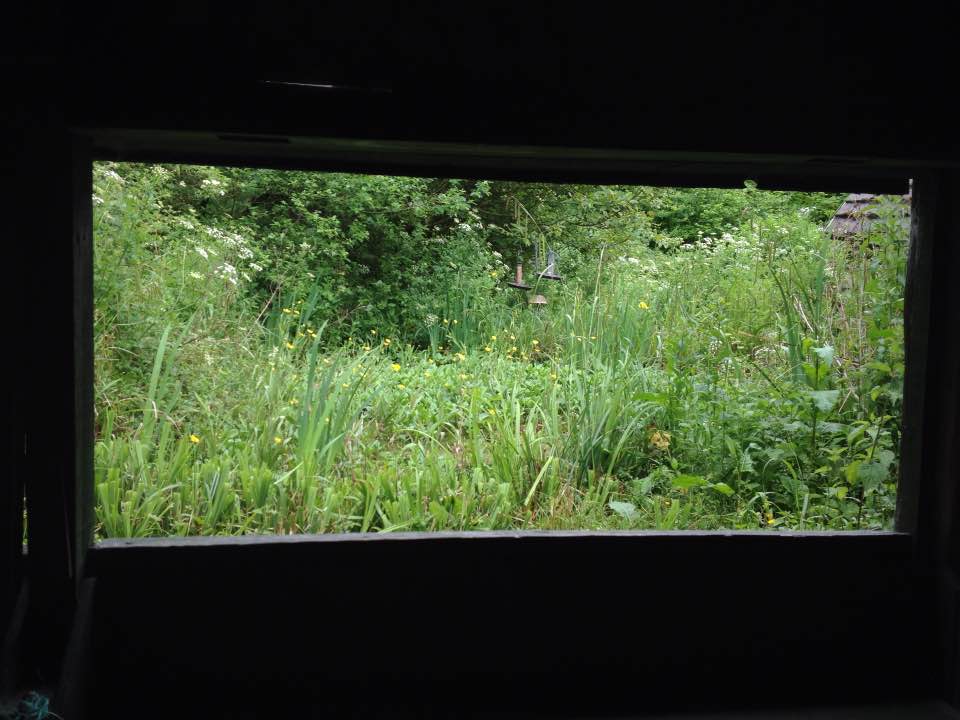 Warburg nature reseve pond hide