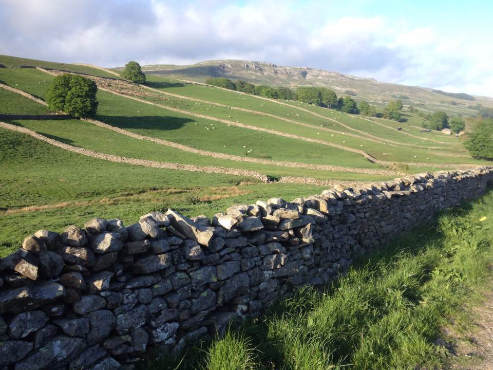 Stone walls near Askrigg, Yorkshire Dales