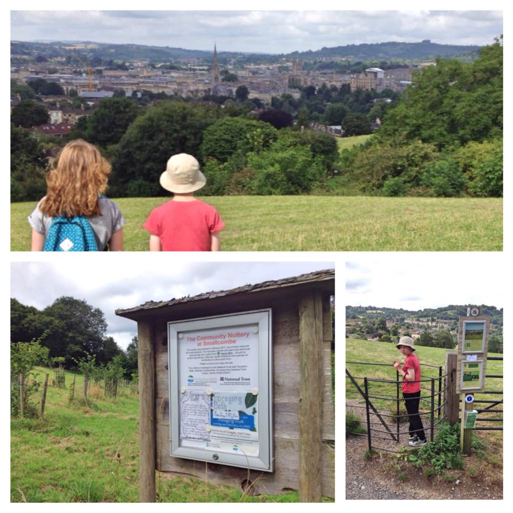 Smallcombe Nuttery and Bathwick Fields, Bath