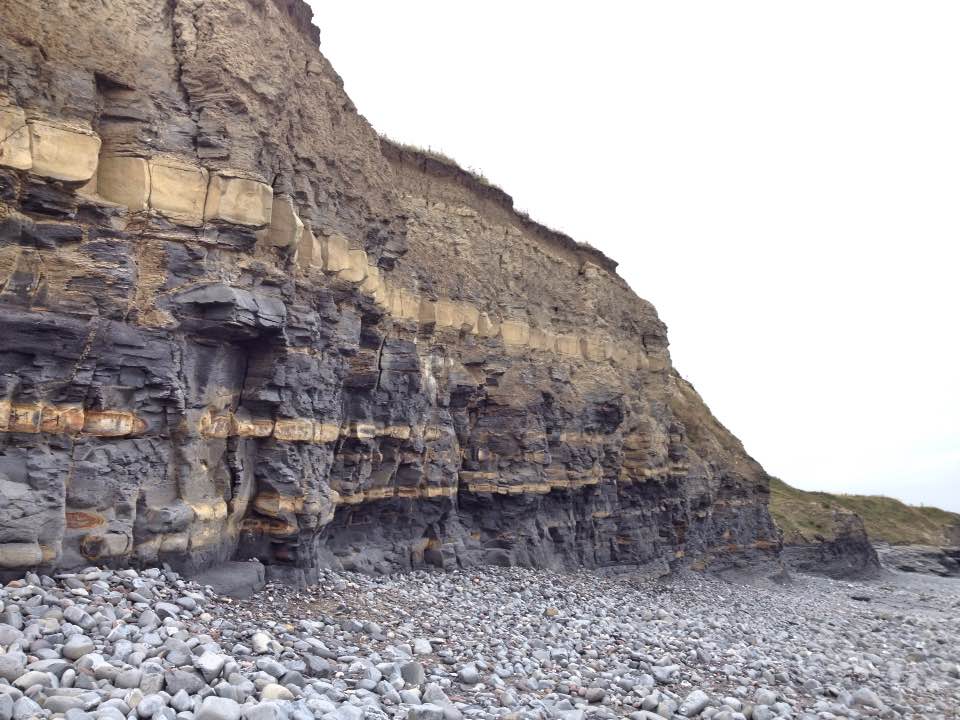 Rock strata, Kilve beach