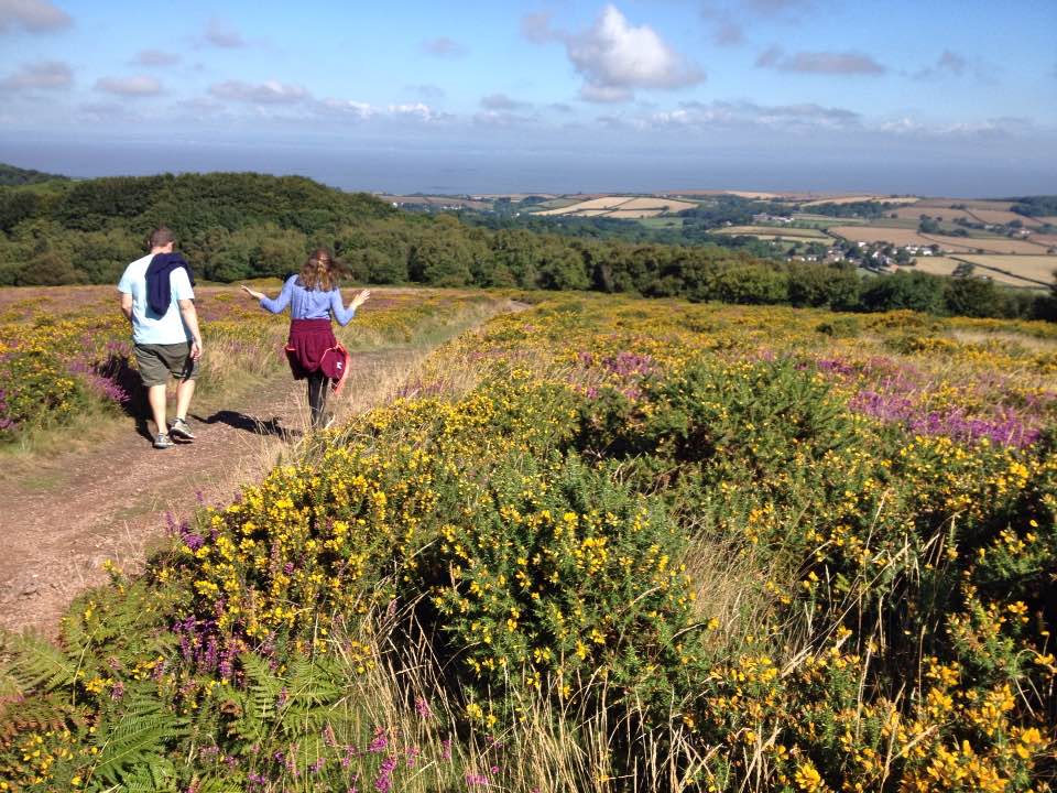 Descending Woodland Hill, Quantock Hills