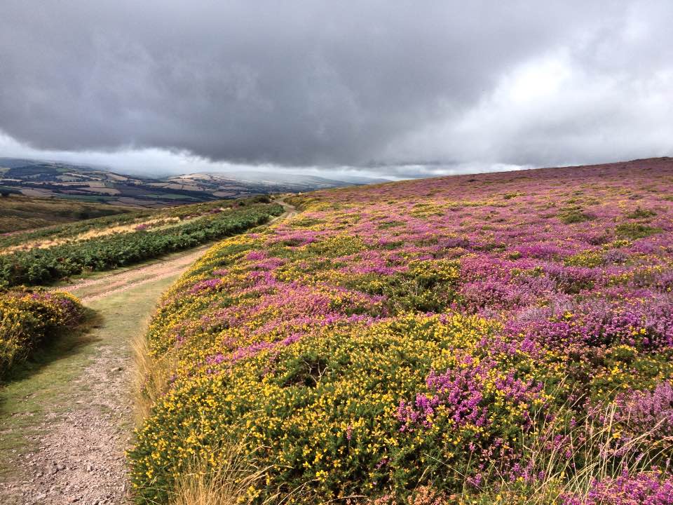 View from Beacon Hill - between rain showers