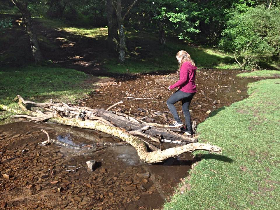 Crossing Holford Combe stream