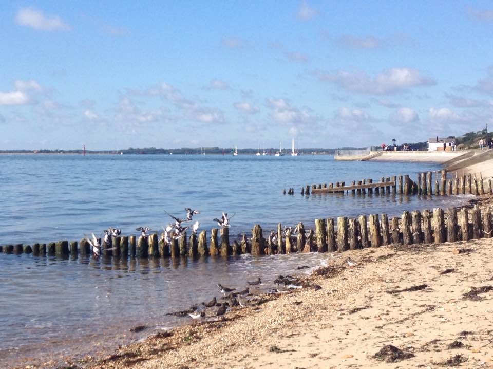 A family walk around Lepe Loop, Hampshire - A family day out