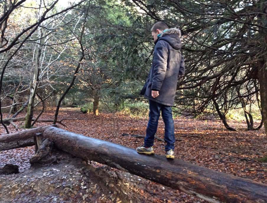 Box Hill adventure play trail