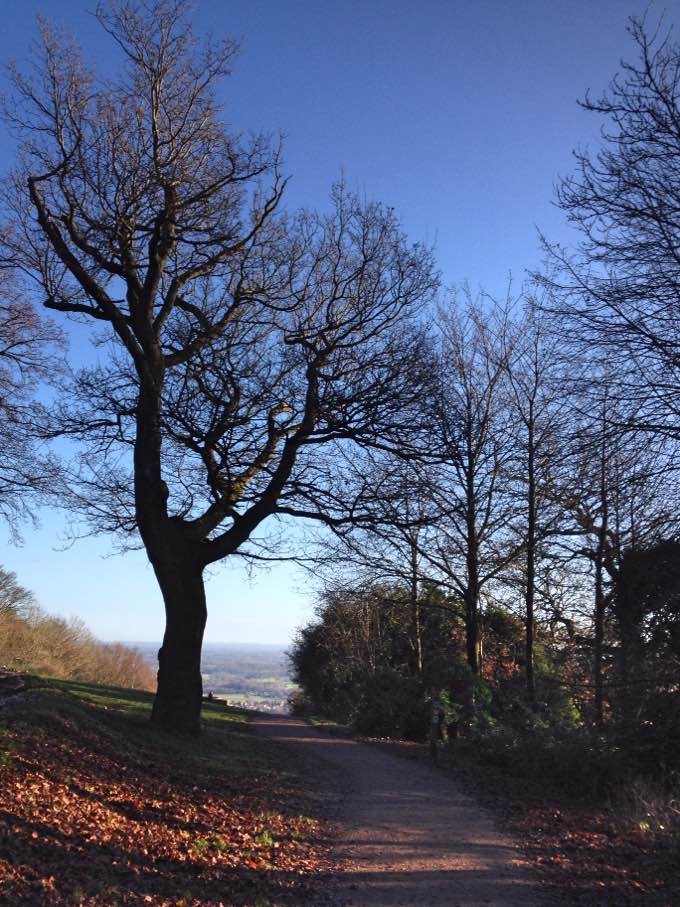 Footpath to Salomons Memorial, Box Hill