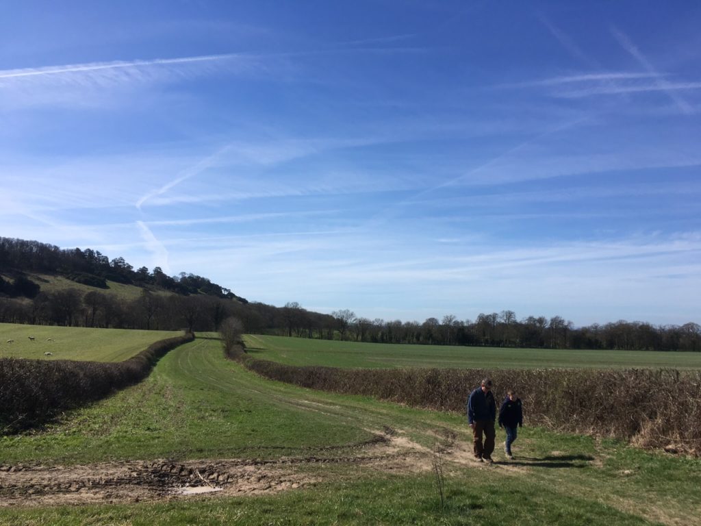 Walking the Ridgeway, near Watlington