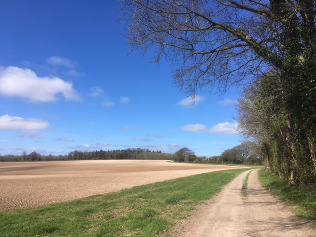 Near Wind Farm