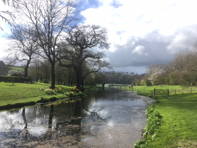 Meon Springs fly fishery