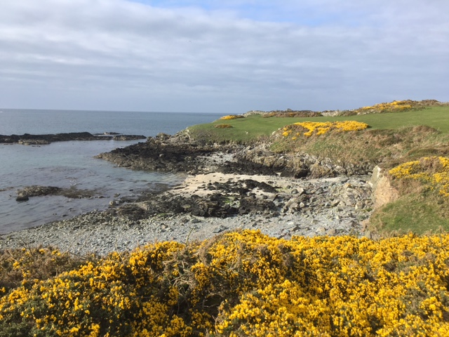 Anglesey coastal path near Cemlyn